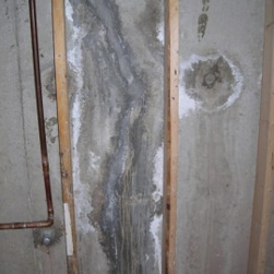 Leaking foundation from cracks